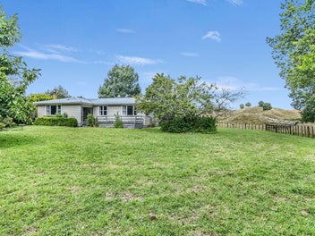 Country Calm with Serious Shedding