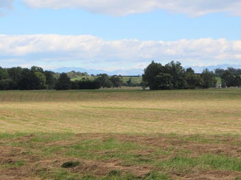 Two Titles, Quality Soils, Sought-after Location