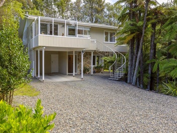 Elevated amongst native canopy