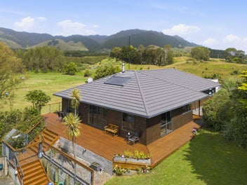 More Than A Lifestyle