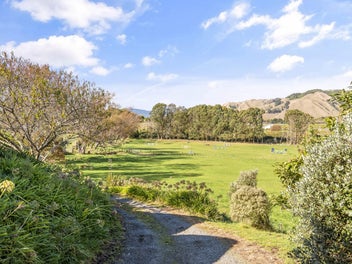 More Than A Lifestyle