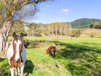 More Than A Lifestyle