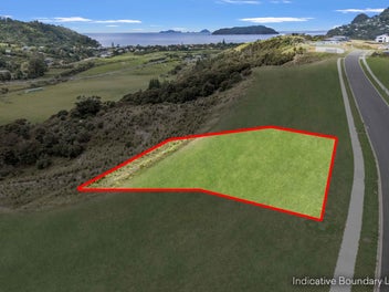 Elevated Coastal Canvas in Tairua