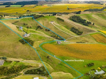 No Waiting, This Is the One