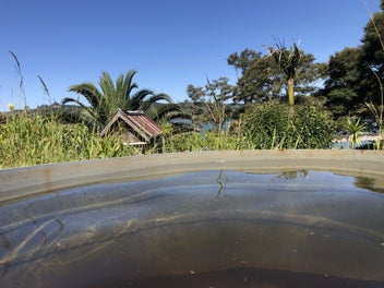 Kohukohu waterfront harbour view hokianga