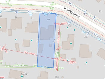 Dream Big- Grow Strong