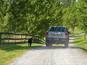 Possibly the most beautiful block in the Bay