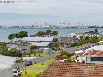 Blue Chip Section - Views, No Covenants