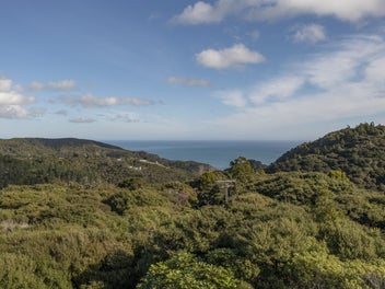 Image 1 of 19