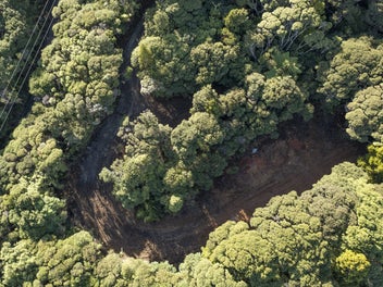 13 Acres of Pristine Lifestyle Land - Karekare