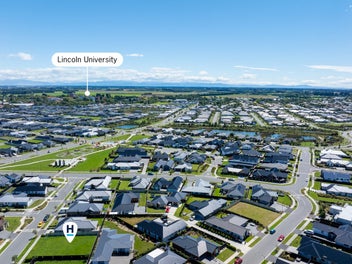 Your blank canvas in established Te Whariki