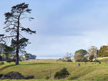 WARNING! Your Dream Just Found LAND . . .