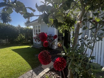 Elevated central Classic.