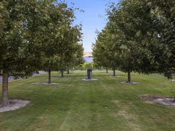 Lifestyle Opportunity in Marlborough's Golden Mile