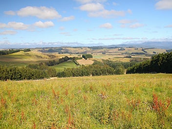 Fiordland Mountain Views