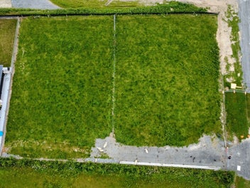 Traditional Kiwi Size Sections