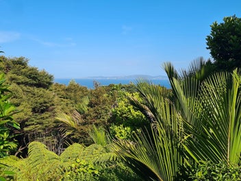 NIKAU HAVEN