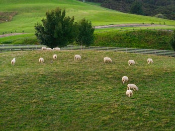 The Lifestyle Reset You’ve Been Waiting For