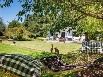 TEAM LEWIS - PICTURE PERFECT PARADISE