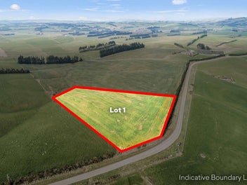 Pinnacle Road Perfection