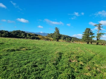 Bush, Streams, Hills in Greymouth. LAND + HOUSE