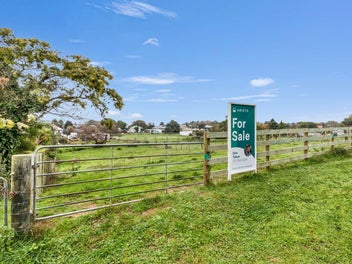 Big Section, Endless Potential, No Covenant