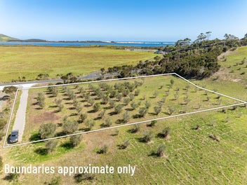 Olive Grove Section with NO LAND COVENANTS