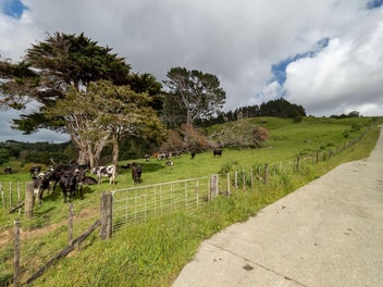Image 1 of 10