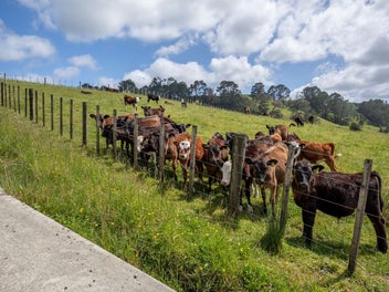 Present Offers Seriously for Sale