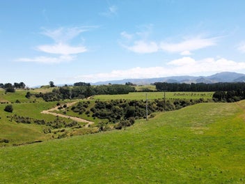 Image 1 of 11