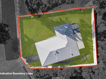 Affordable, Renovated & Forest-Front Sanctuary!