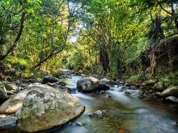 A beautiful place of abundance