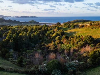 Island Views, Loft & Studio, Native Beauty