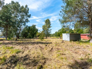 Section with options