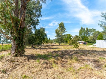 Section with options