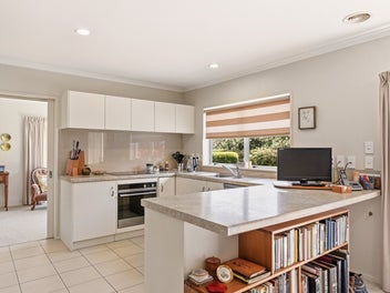 Springfield Sanctuary