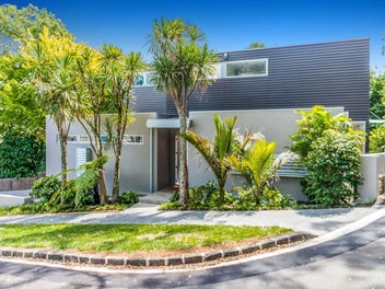 Parkside perfection DGZ