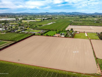 Build option, scale, soil - 7.5 hectares Meeanee