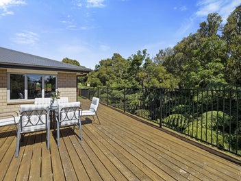 Living among Trees and Birdlife