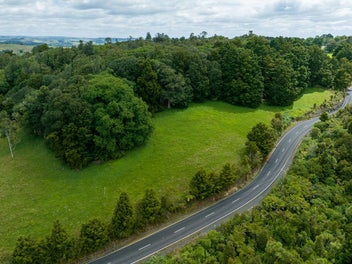 Big Views - Beautiful Native - Kiwi Dream