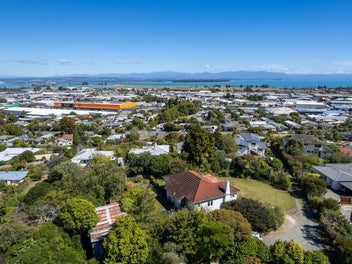 A Hen's Tooth in Wakatu