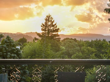 Car enthusiasts dream on Titirangi Road