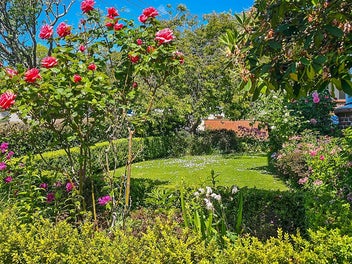 Sunlit Dress-Circle Sanctuary
