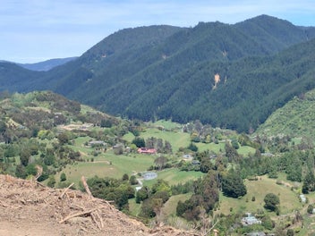 Image 1 of 14