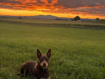 Lifestyle section with commanding views