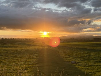 Image 1 of 11