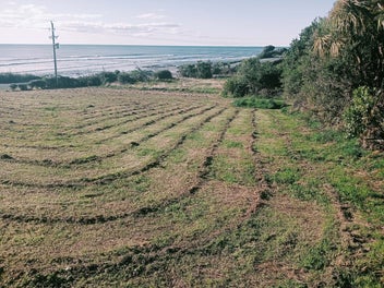 Beach front section on the coast road