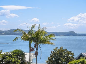 Two Titles, Consented Potential + Dwelling