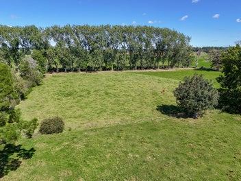 The Ultimate Puketaha Estate