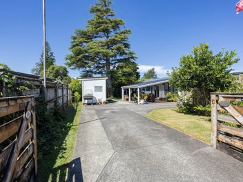 Comfortable Sunlit Living